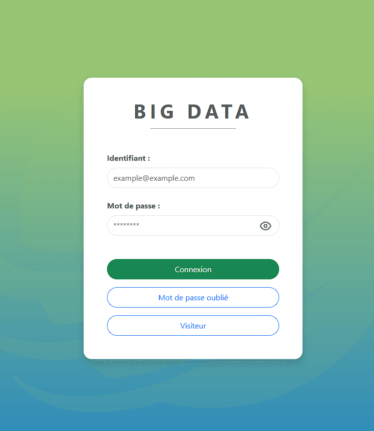 Big Data