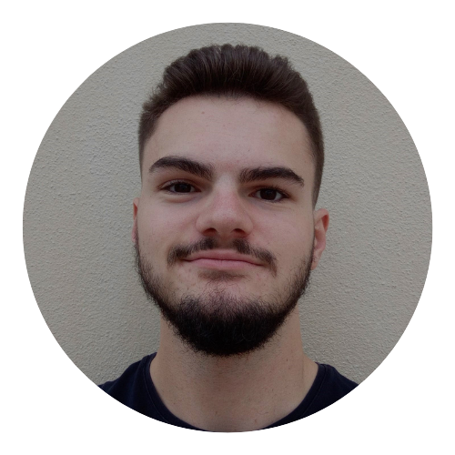 Nolan Liogier - Développeur Full Stack professionnel souriant dans une photo portrait professionnelle